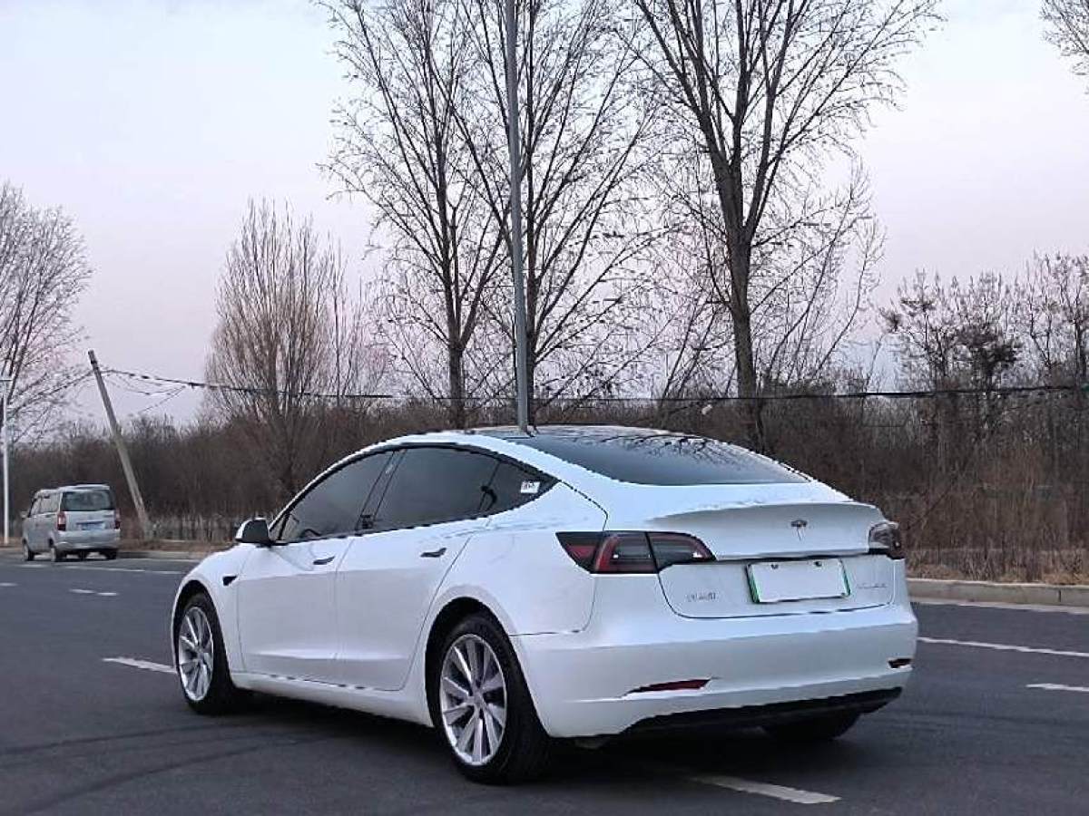 特斯拉 Model 3  2021款 改款 標(biāo)準(zhǔn)續(xù)航后驅(qū)升級(jí)版圖片