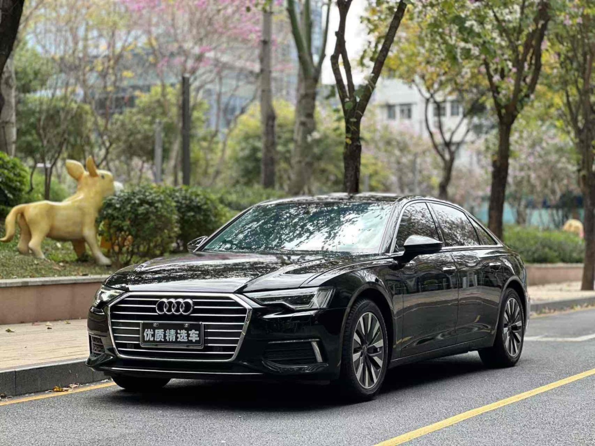 2019年10月奧迪 奧迪A6L  2019款 45 TFSI 臻選致雅型