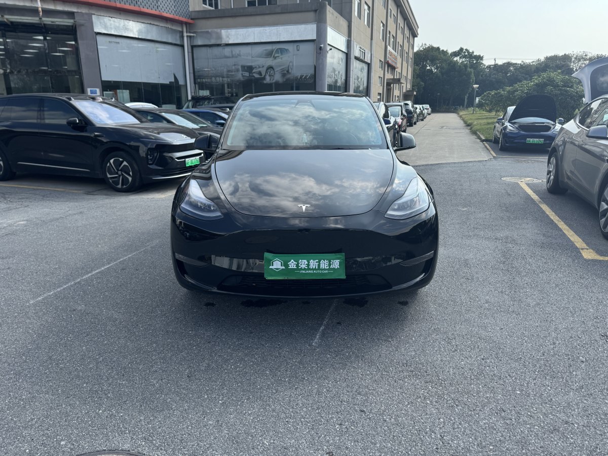 特斯拉 Model Y  2021款 改款 標(biāo)準(zhǔn)續(xù)航后驅(qū)升級(jí)版圖片