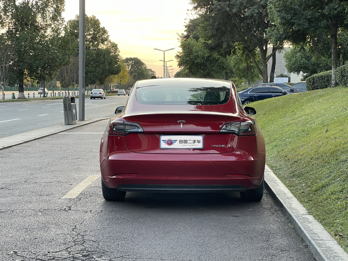 特斯拉 Model 3  2019款 標(biāo)準(zhǔn)續(xù)航后驅(qū)升級版圖片