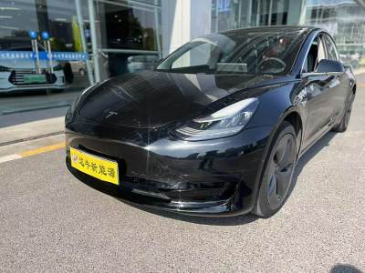 2020年10月 特斯拉 Model 3 改款 標(biāo)準(zhǔn)續(xù)航后驅(qū)升級(jí)版圖片