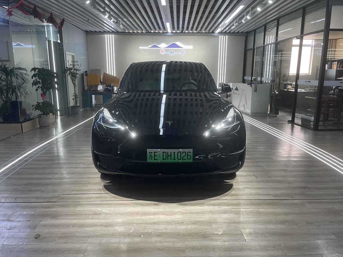 特斯拉 Model Y  2020款 改款 長續(xù)航后輪驅(qū)動版圖片