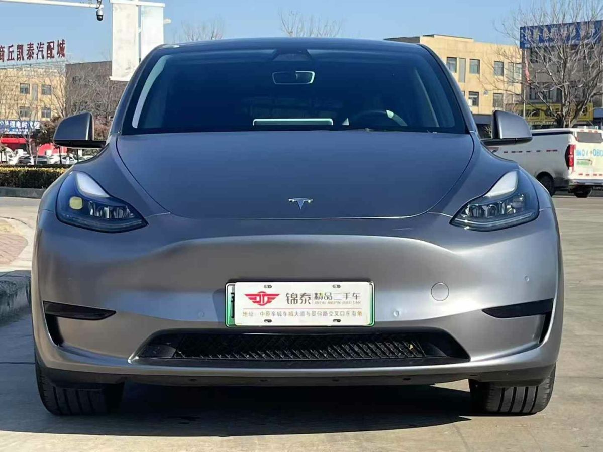 特斯拉 Model Y  2024款 Performance高性能版圖片