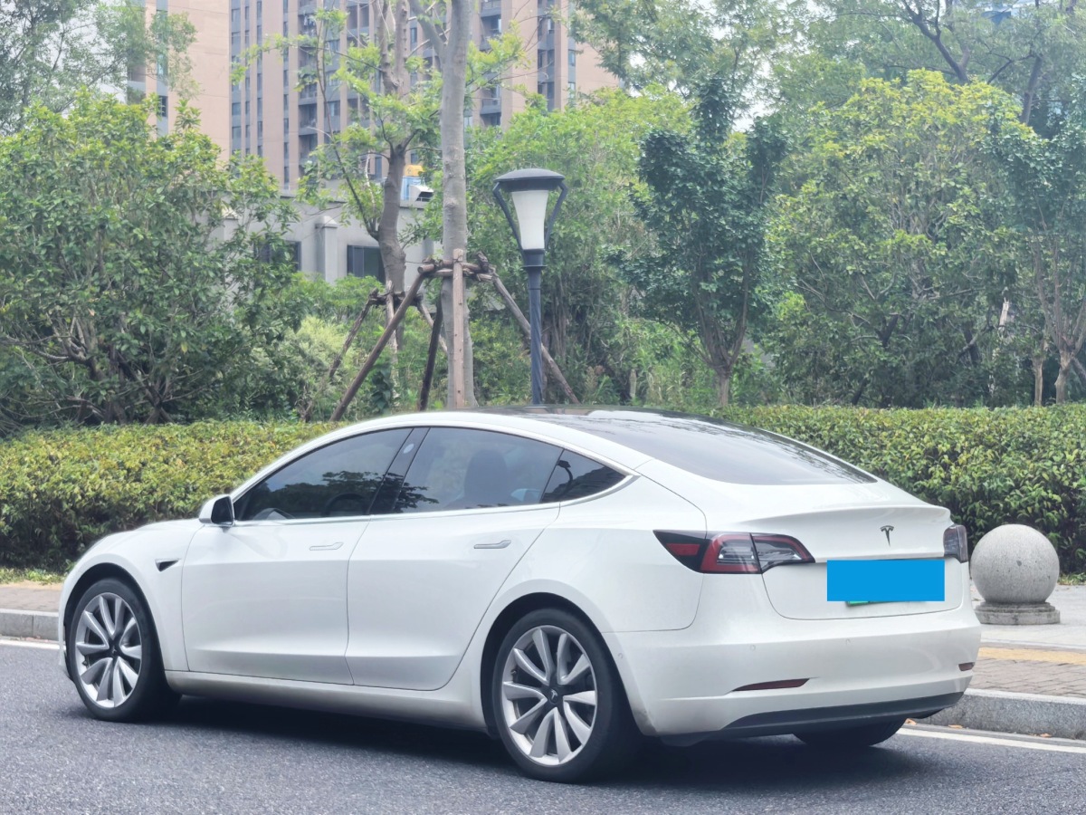 2019年11月特斯拉 Model 3  2019款 標準續(xù)航后驅升級版