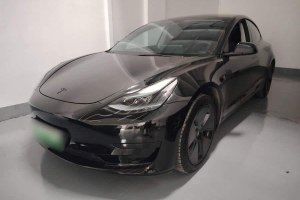 Model 3 特斯拉 后輪驅(qū)動(dòng)版