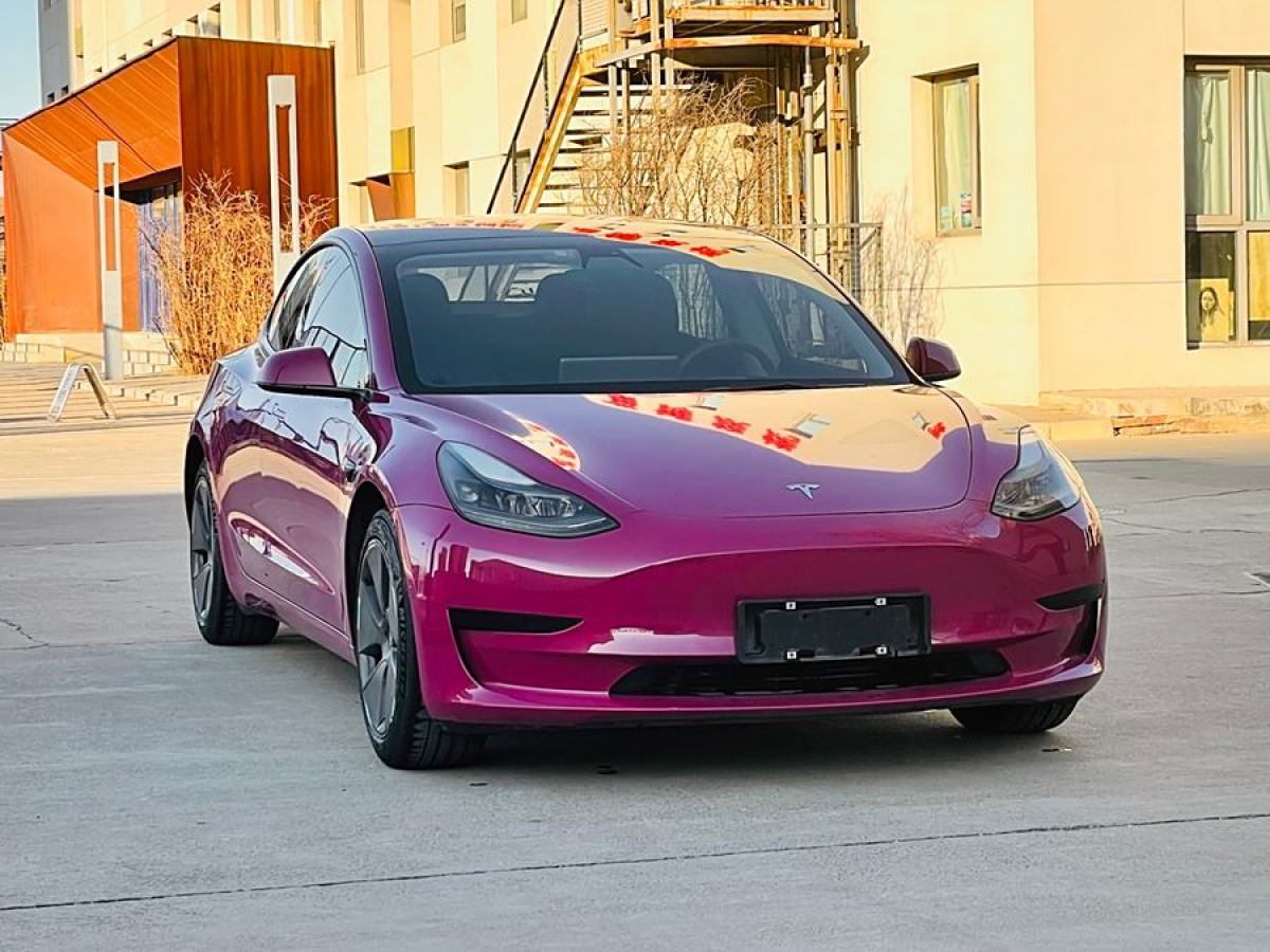 特斯拉 Model 3  2021款 標(biāo)準(zhǔn)續(xù)航后驅(qū)升級版 3D6圖片