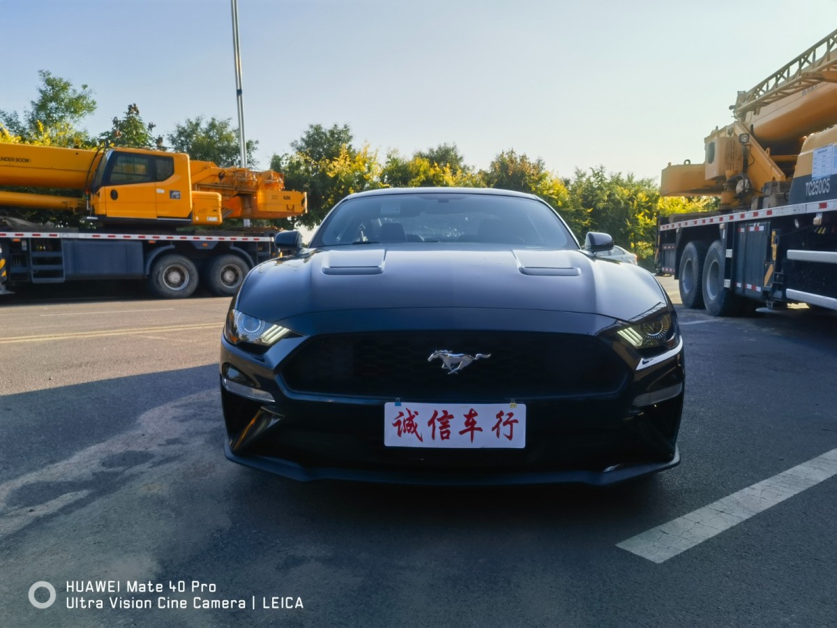 福特 Mustang  2019款 2.3L EcoBoost图片