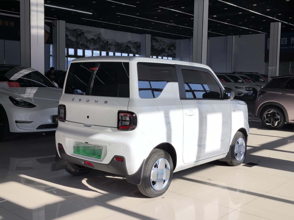 2024年12月吉利 熊貓mini  2023款 200km 耐力熊