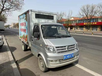 2021年1月 東風(fēng) 帕拉索 1.8T 四驅(qū)尊享版圖片