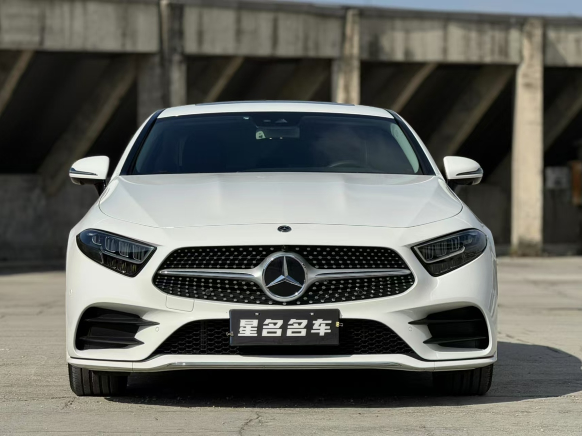 奔馳 奔馳CLS級(jí)  2020款 CLS 300 豪華型圖片