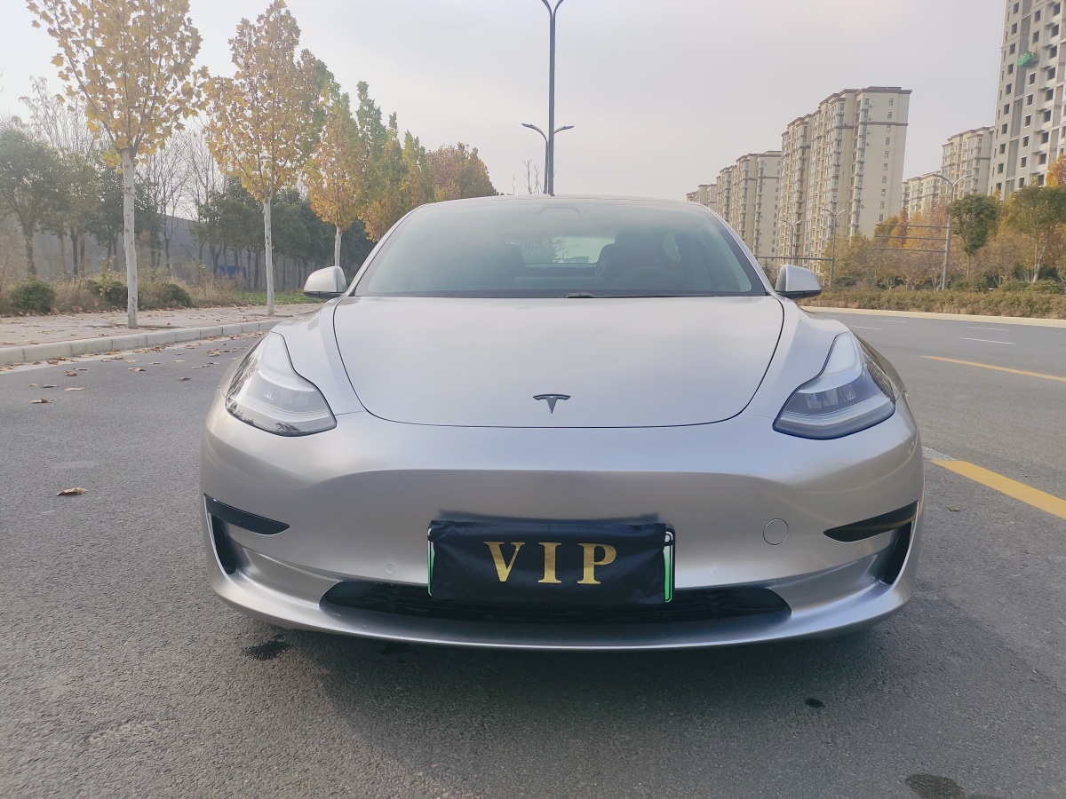 特斯拉 Model 3  2019款 標(biāo)準(zhǔn)續(xù)航后驅(qū)升級版圖片