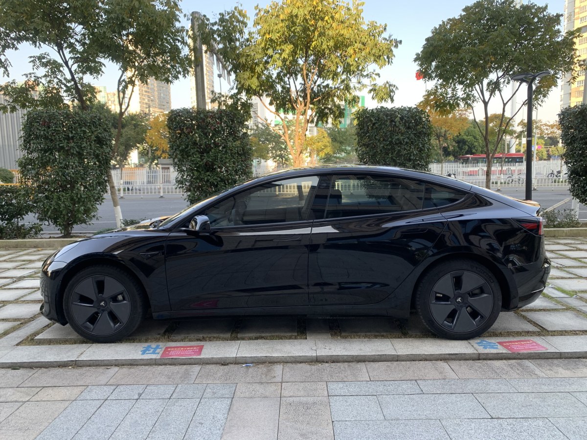 特斯拉 Model 3  2019款 標準續(xù)航后驅升級版圖片