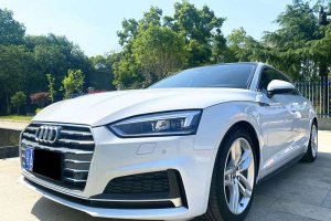 奧迪A5 奧迪 Sportback 45 TFSI 時(shí)尚型