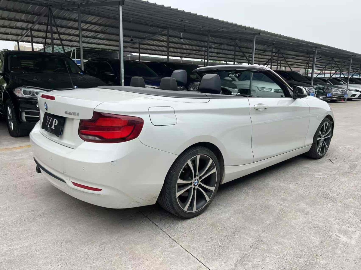 寶馬 寶馬2系  2019款  225i 敞篷轎跑車 運(yùn)動(dòng)設(shè)計(jì)套裝圖片