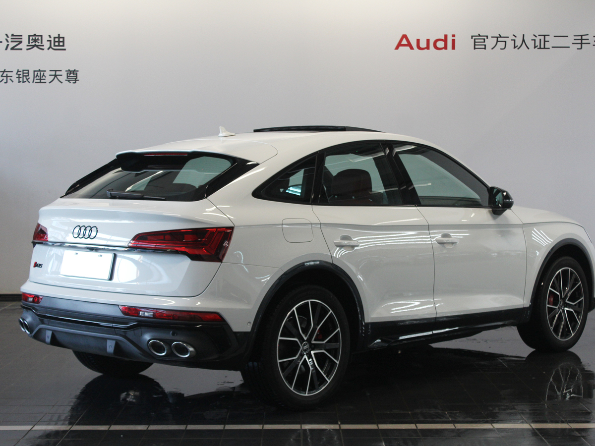 奧迪 奧迪SQ5  2014款 SQ5 3.0 TFSI quattro圖片