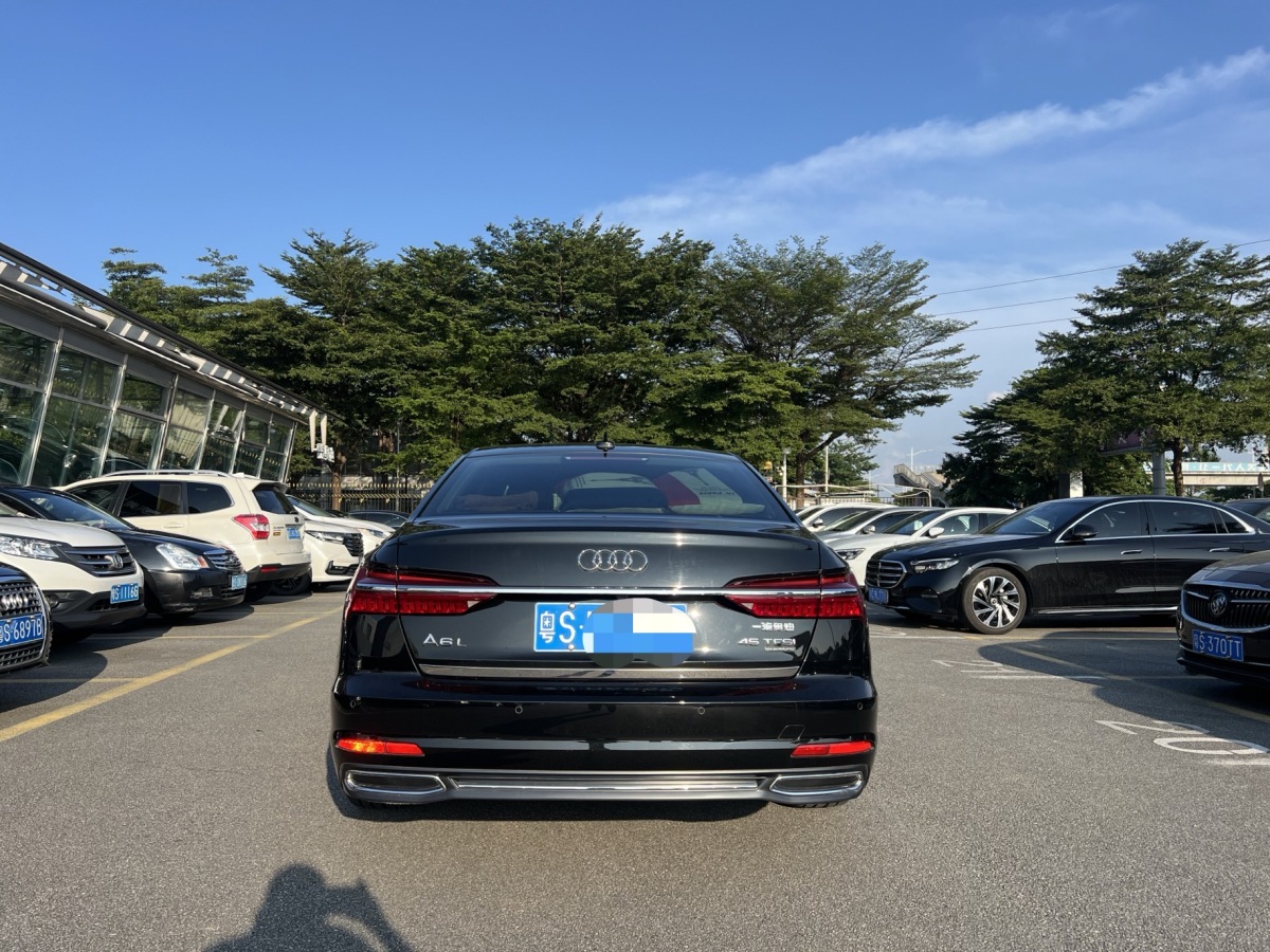 奧迪 奧迪A6L  2020款 45 TFSI 臻選致雅型圖片