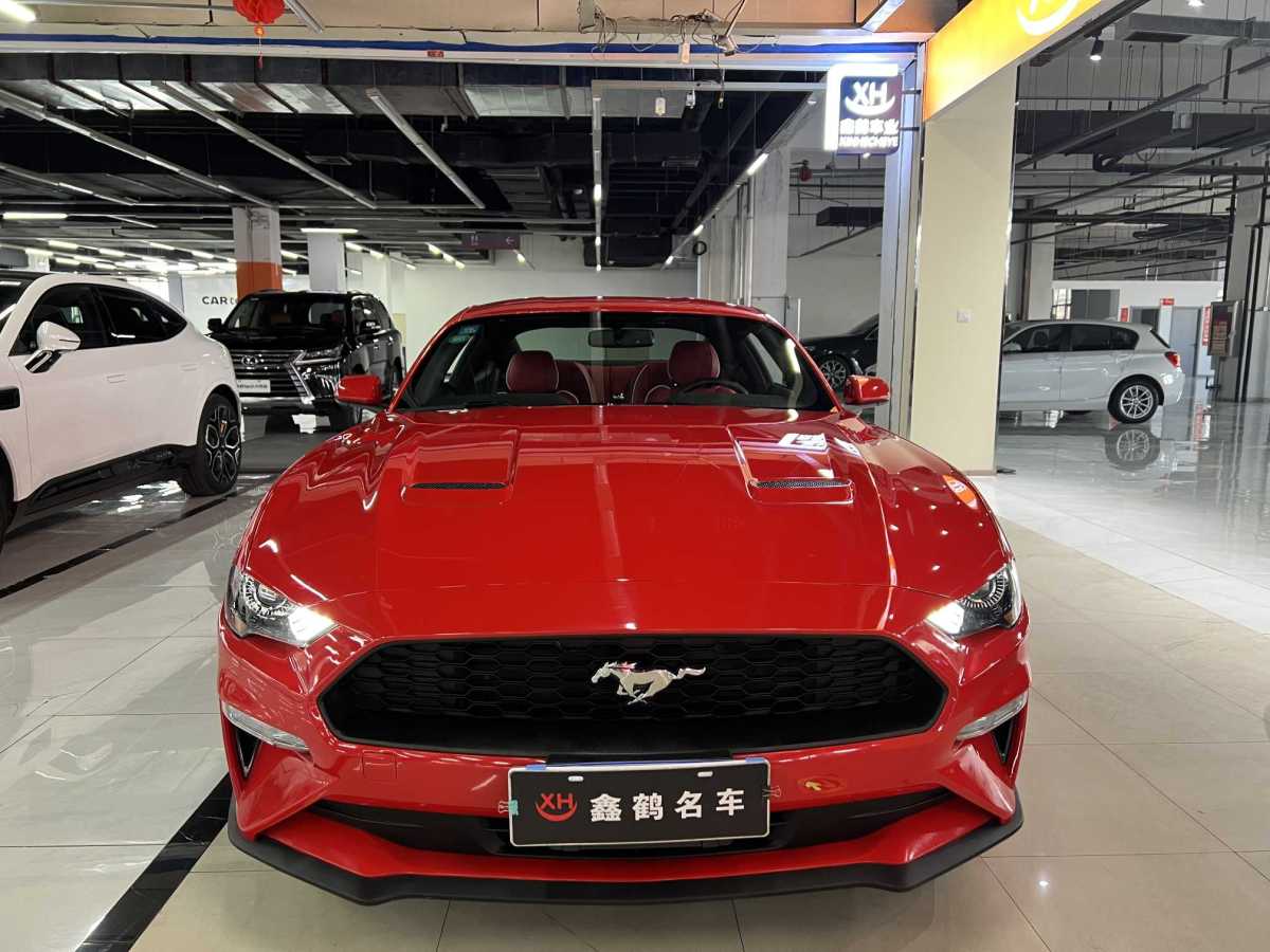 福特 Mustang  2020款 2.3L EcoBoost圖片