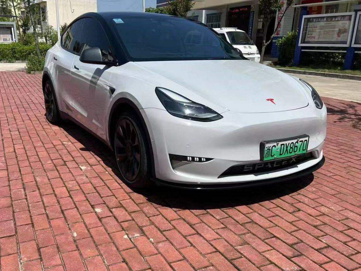 特斯拉 Model Y  2022款 Performance高性能全輪驅(qū)動(dòng)版圖片