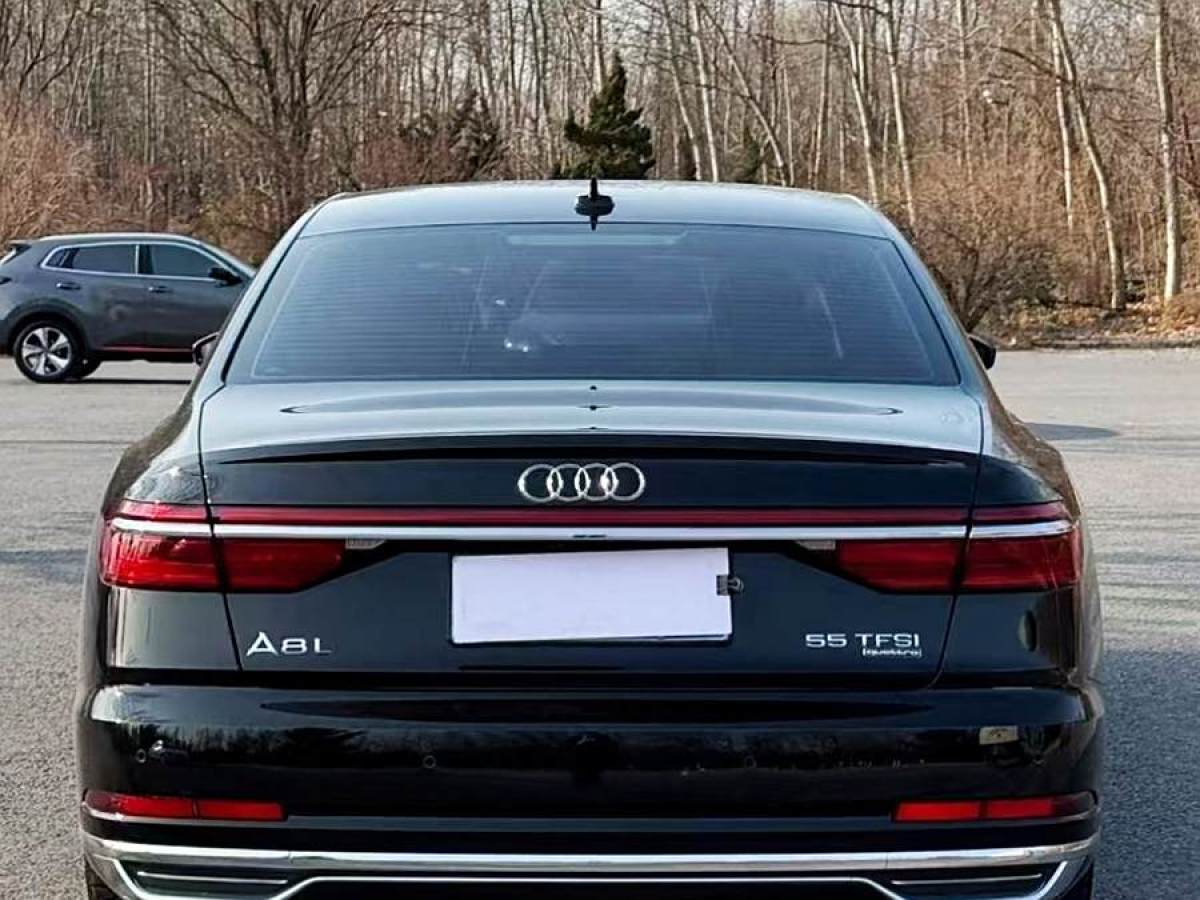 奧迪 奧迪A8  2018款 A8L 55 TFSI quattro投放版精英型圖片