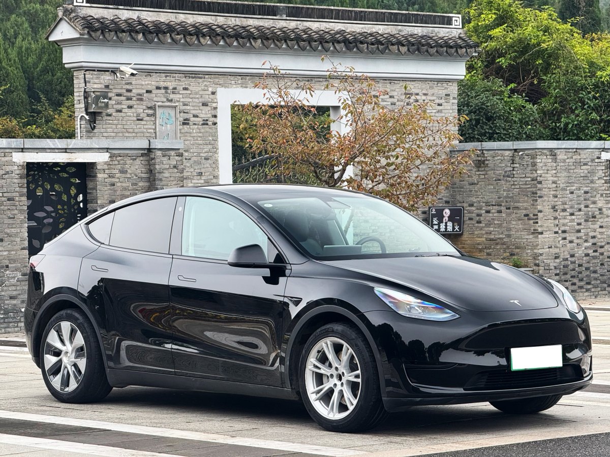 特斯拉 Model 3  2022款 后輪驅(qū)動版圖片