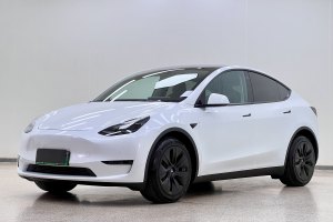 Model Y 特斯拉 改款 标准续航后驱升级版