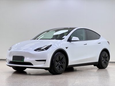 2021年11月 特斯拉 Model Y 改款 標(biāo)準(zhǔn)續(xù)航后驅(qū)升級(jí)版圖片