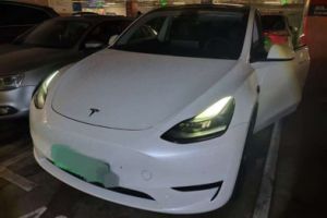 Model Y 特斯拉 后驅(qū)版