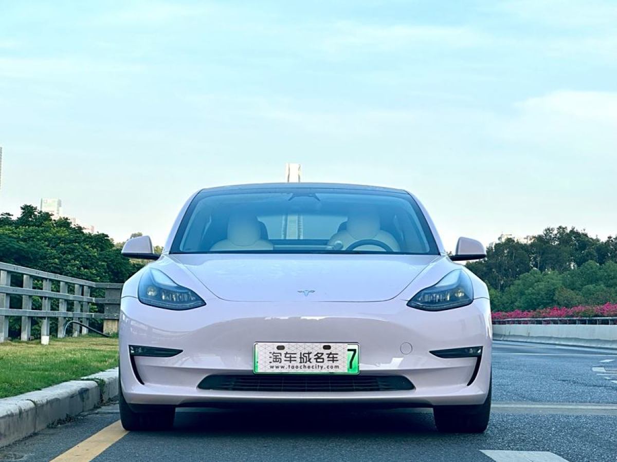 特斯拉 Model Y  2022款 Performance高性能全輪驅(qū)動版圖片