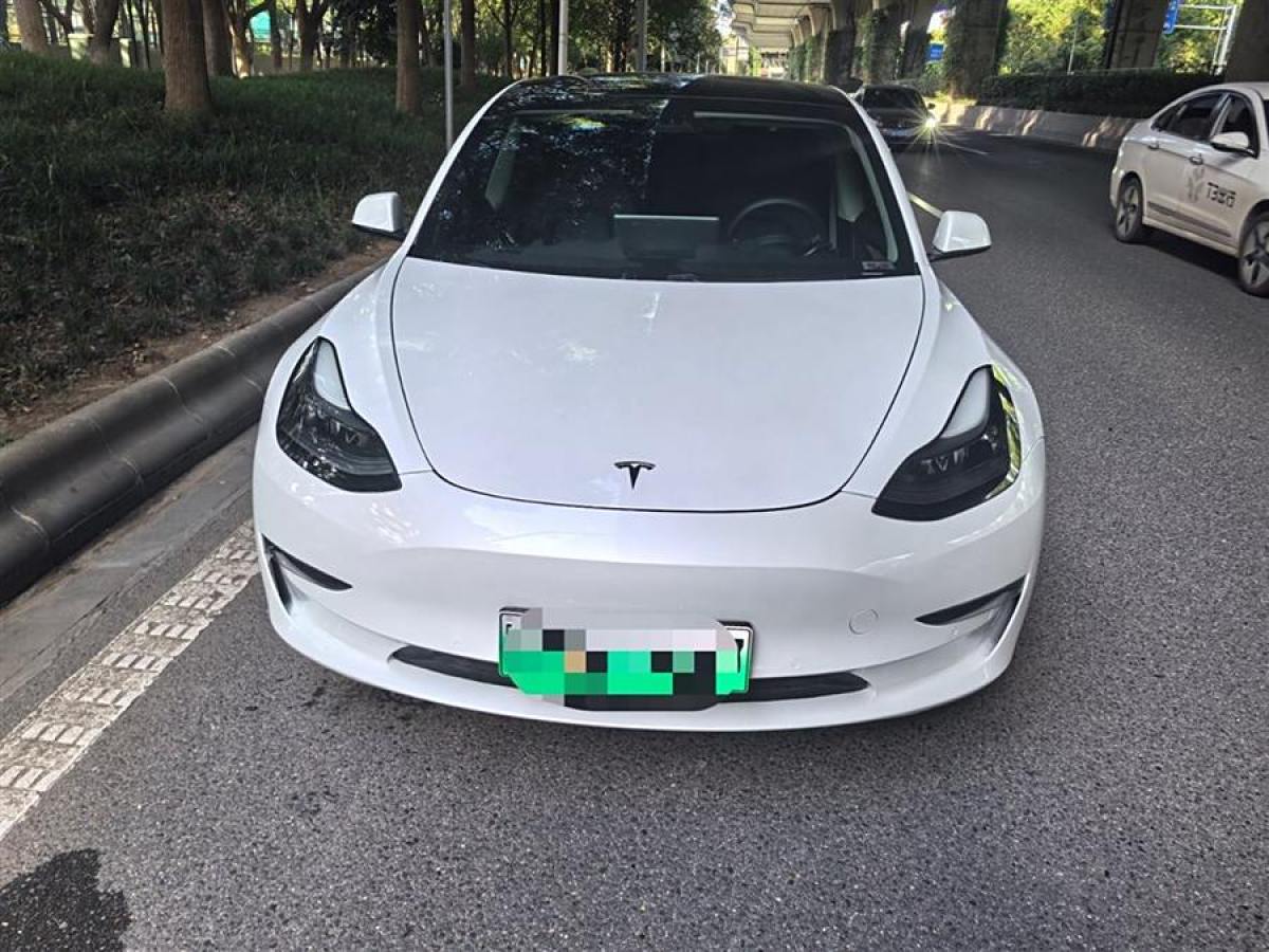 特斯拉 Model 3  2020款 改款 長(zhǎng)續(xù)航后輪驅(qū)動(dòng)版圖片