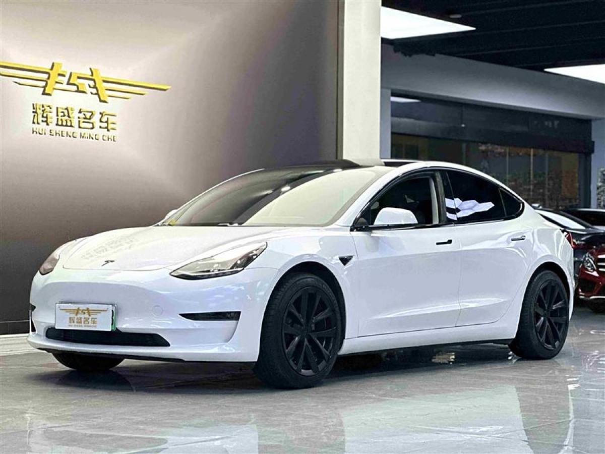 2019年5月特斯拉 Model 3  2019款 長續(xù)航后驅(qū)版