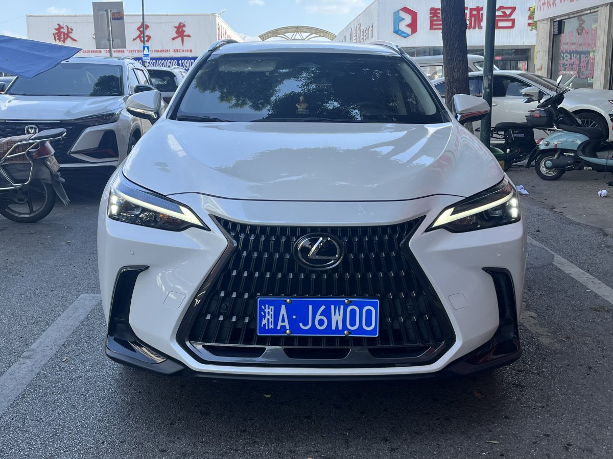 雷克薩斯 NX  2022款 260 前驅(qū) 創(chuàng)馳版圖片