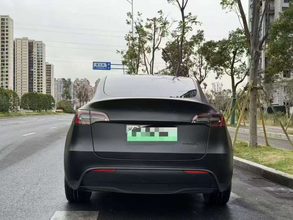 特斯拉 Model Y  2021款 標(biāo)準(zhǔn)續(xù)航后驅(qū)版圖片