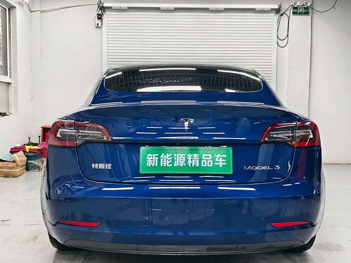 特斯拉 Model 3  2020款 改款 長續(xù)航后輪驅動版圖片