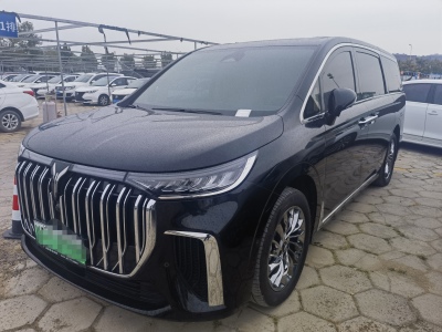 2024年1月 岚图 梦想家 PHEV 超长续航旗舰版图片