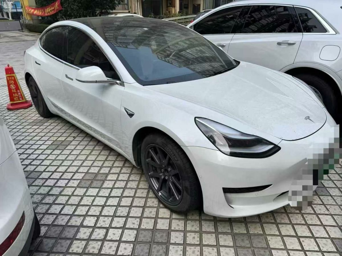 特斯拉 Model X  2020款 Performance 高性能版圖片