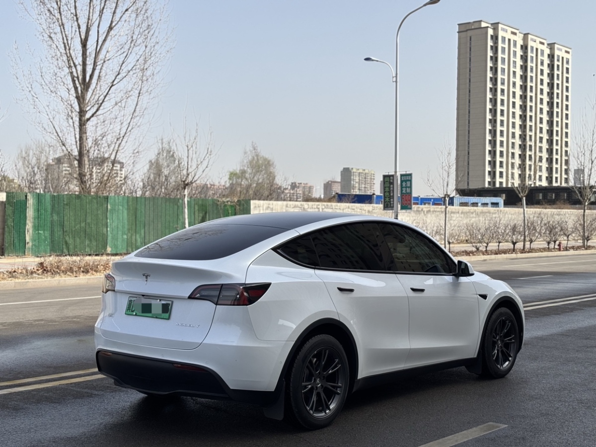 特斯拉 Model Y  2024款 長續(xù)航全輪驅(qū)動版圖片