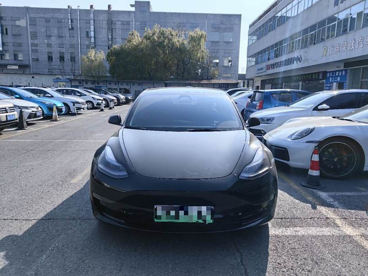 特斯拉 Model Y  2022款 Performance高性能全輪驅(qū)動版圖片