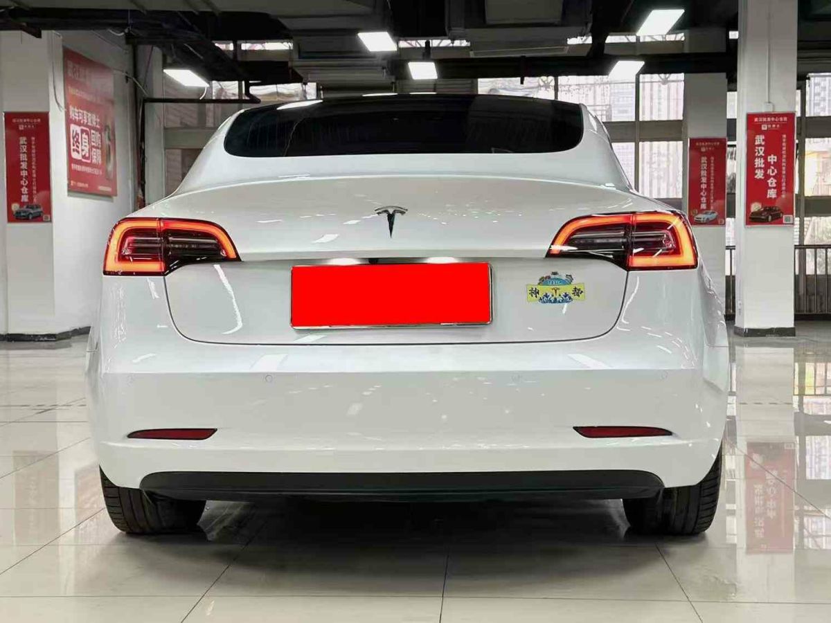 特斯拉 Model X  2020款 Performance 高性能版圖片