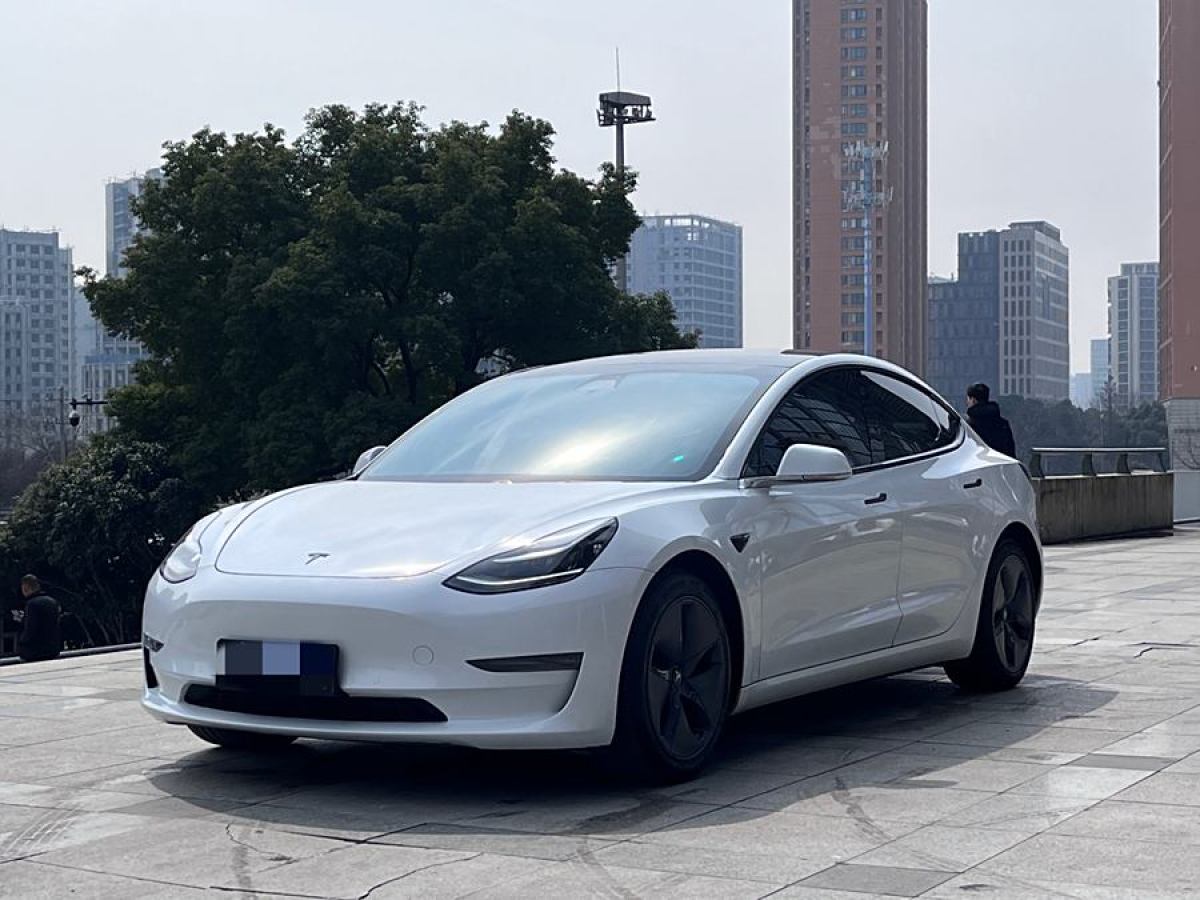 2020年5月特斯拉 Model 3  2019款 長續(xù)航全輪驅動版