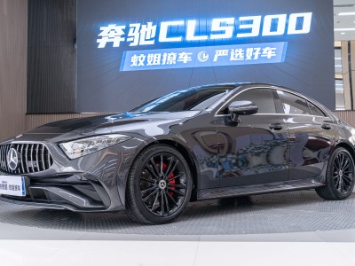 2022年11月 奔驰 奔驰CLS级(进口) 改款 CLS 300 动感型图片