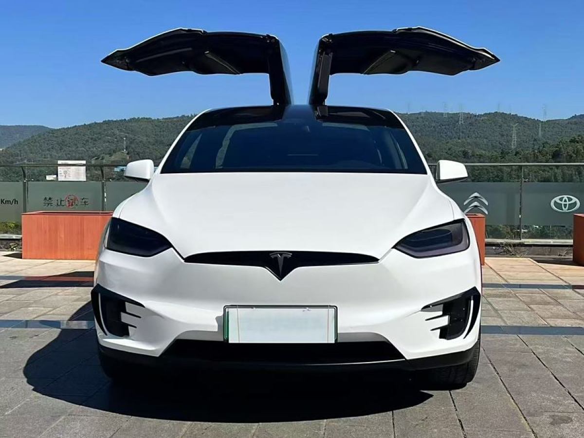 特斯拉 Model X  2016款 Model X 75D圖片