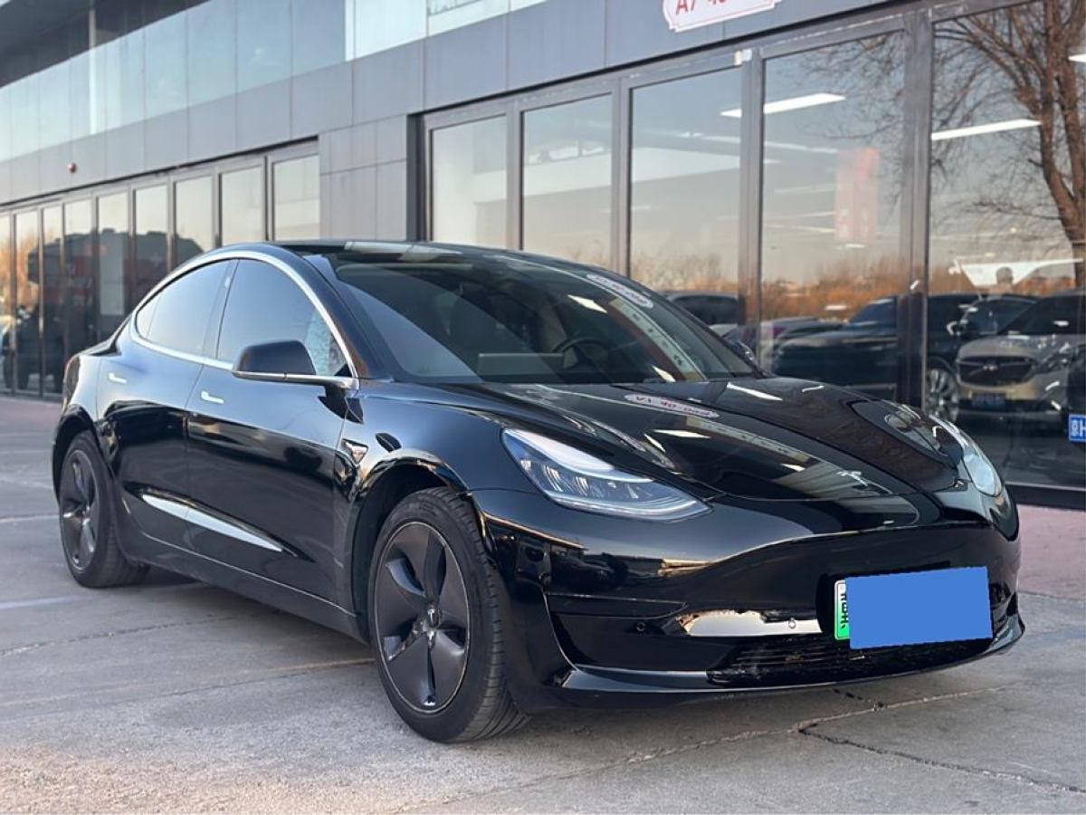 特斯拉 Model 3  2019款 標(biāo)準(zhǔn)續(xù)航后驅(qū)升級版圖片