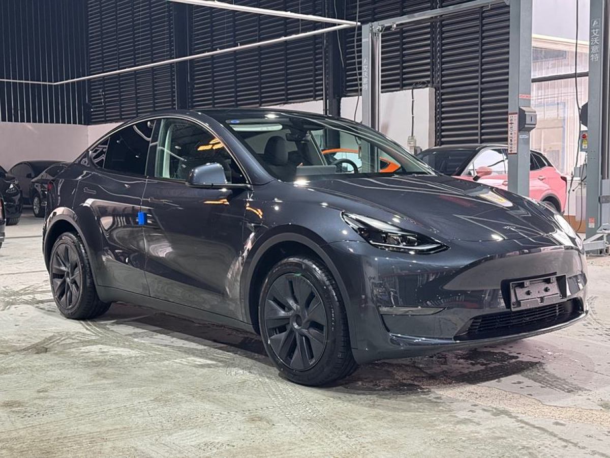 特斯拉 Model Y  2024款 長(zhǎng)續(xù)航全輪驅(qū)動(dòng)版圖片