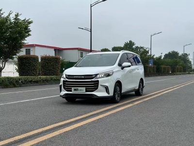 2019年3月 上汽大通 G50 1.5T 首发款自动豪华版 6座图片