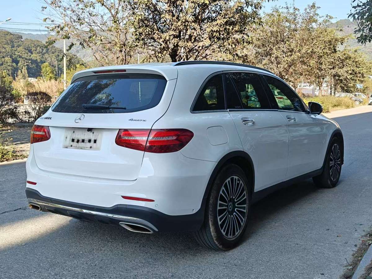 奔馳 奔馳GLC  2019款 GLC 260 4MATIC 動(dòng)感型圖片