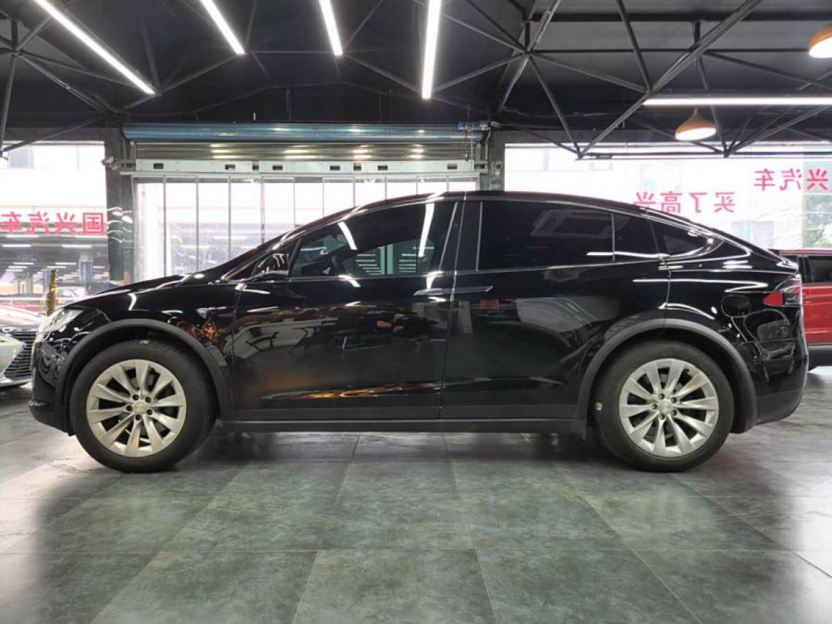 特斯拉 Model X  2019款 長續(xù)航版圖片