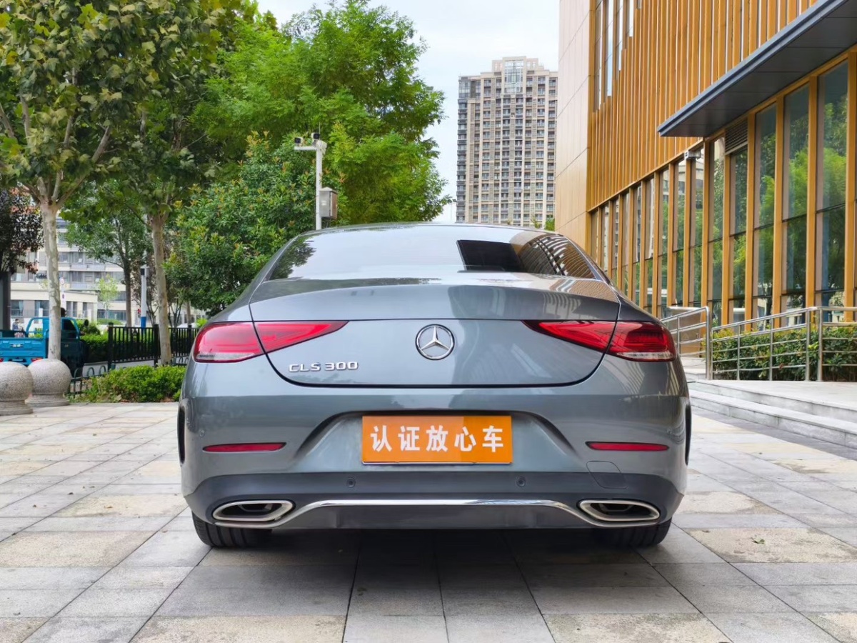 奔驰 奔驰CLS级  2020款 CLS 300 动感型图片