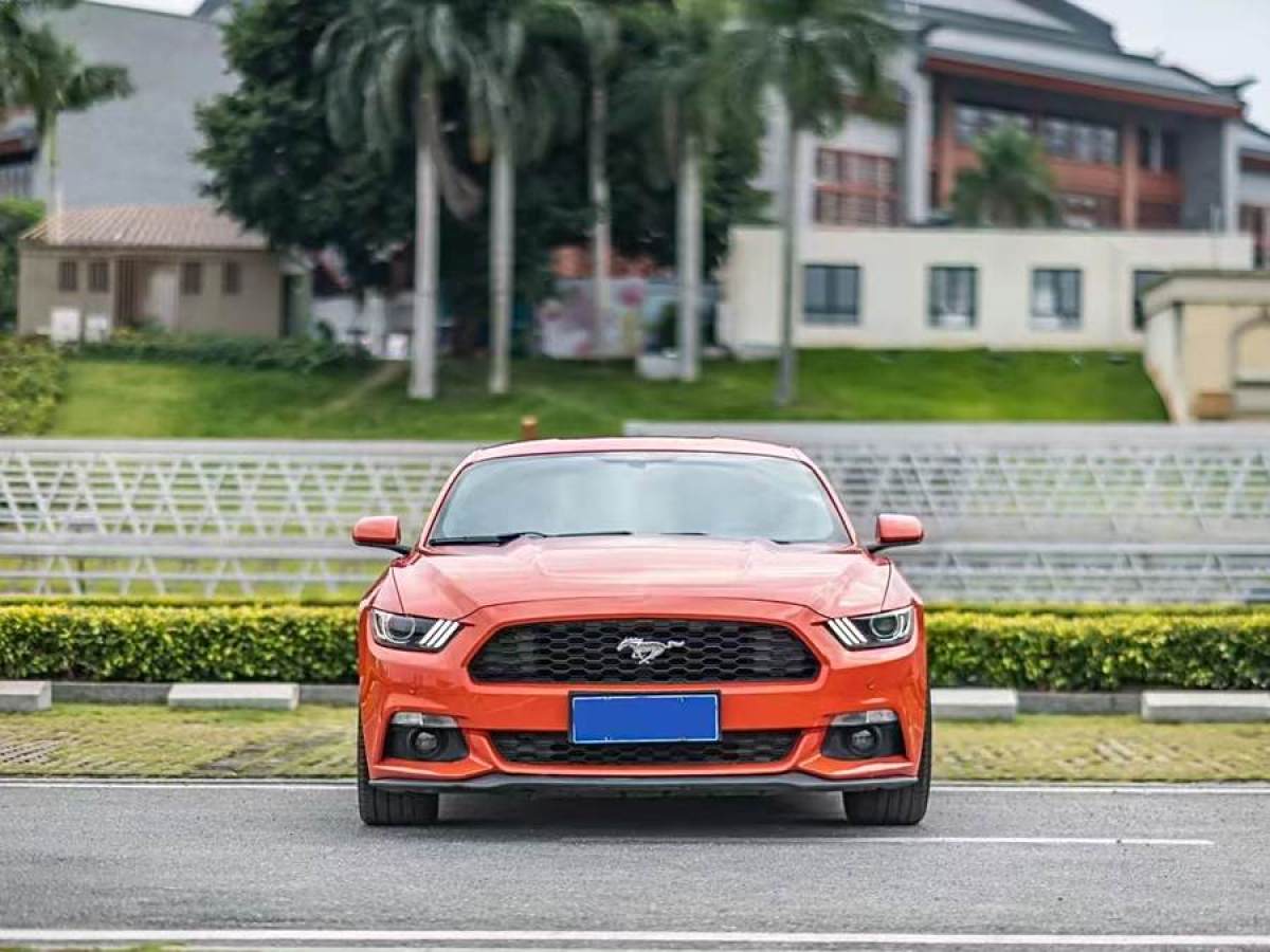 福特 Mustang  2015款 2.3T 性能版圖片