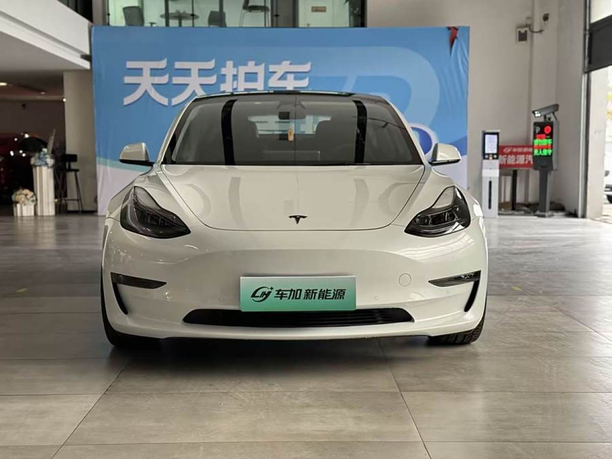 特斯拉 Model 3  2021款 Performance高性能全輪驅(qū)動版 3D6圖片