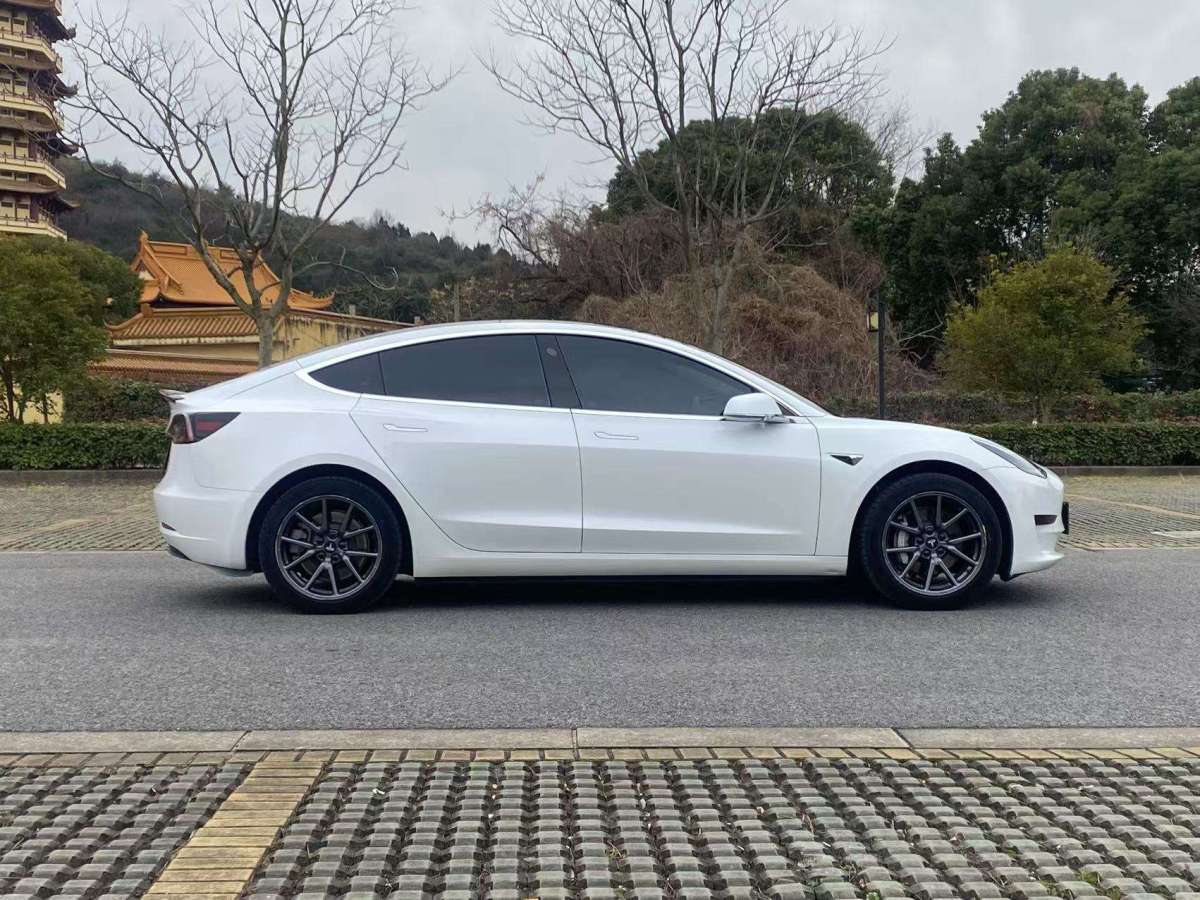 特斯拉 Model 3  2019款 標準續(xù)航后驅升級版圖片